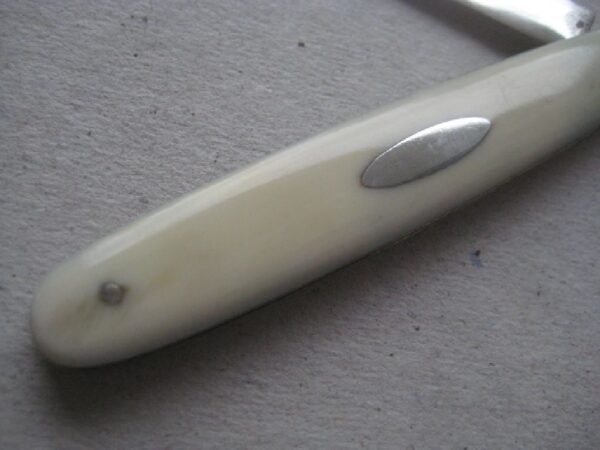 Rare Bone Hafted Army and Navy Hallmarked Silver Bladed Folding Fruit Knife SK170 - Image 3