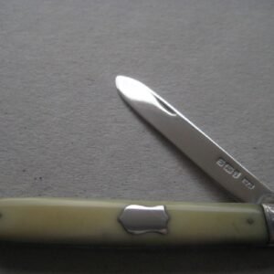 Rare Yellow Hafted Victorian Silver Bladed Folding Fruit Knife SK493