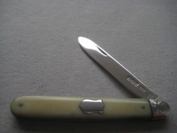 Rare Yellow Hafted Victorian Silver Bladed Folding Fruit Knife SK493