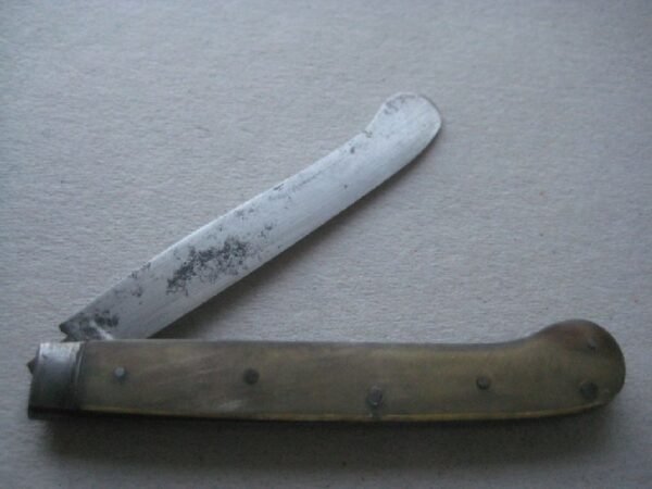 Rare George III Bone Hafted Scimitar Steel Bladed Folding Fruit Knife SK110 - Image 2