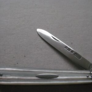 Rare Sheffield Hallmarked Silver Bladed Folding Fruit Knife SK551