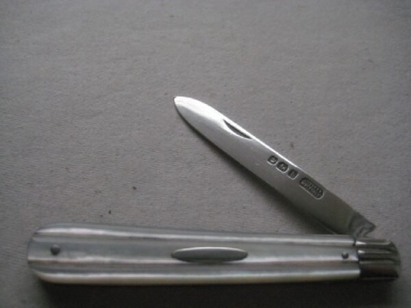 Rare Sheffield Hallmarked Silver Bladed Folding Fruit Knife SK551