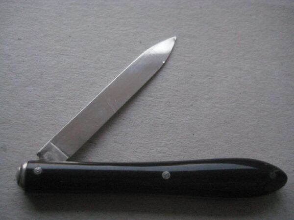 Rare French Tortoiseshell Hafted  Victorian Silver Bladed Folding Fruit Knife SK211 - Image 2