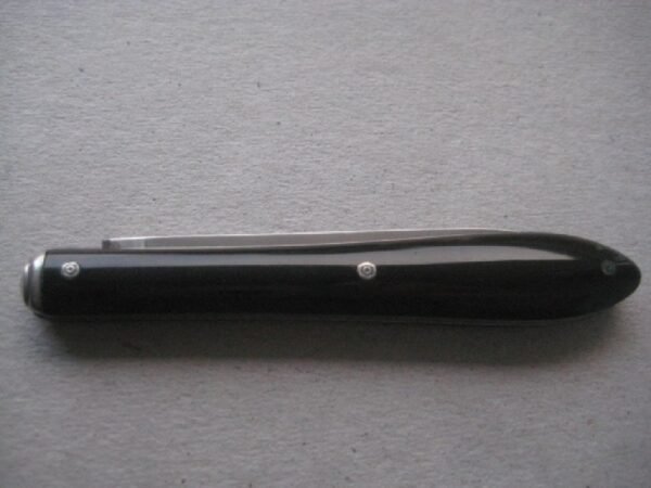 Rare French Tortoiseshell Hafted  Victorian Silver Bladed Folding Fruit Knife SK211 - Image 12