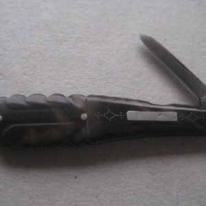 Rare George III Tortoiseshell Hafted Quill Bladed Folding Fruit Knife SK45