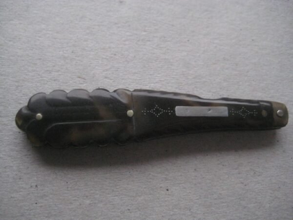 Rare George III Tortoiseshell Hafted Quill Bladed Folding Fruit Knife SK45 - Image 8