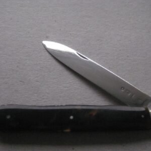 Rare George IV Tortoiseshell Hafted Scimitar Silver Bladed Folding Fruit Knife SK52