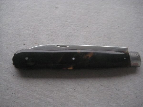 Rare George IV Tortoiseshell Hafted Scimitar Silver Bladed Folding Fruit Knife SK52 - Image 6