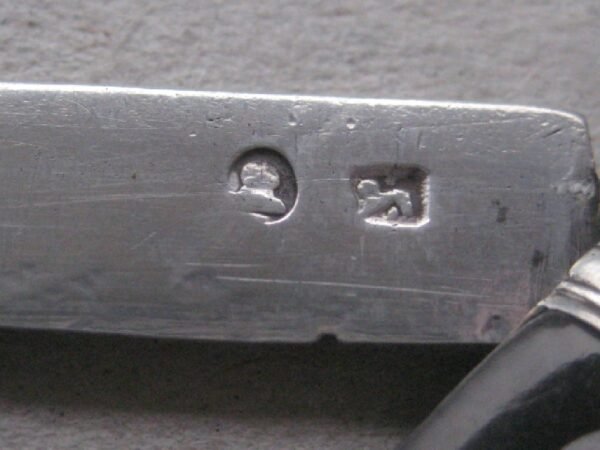 Rare George III Tortoiseshell Hafted Silver Bladed Folding Fruit Knife SK44 - Image 5