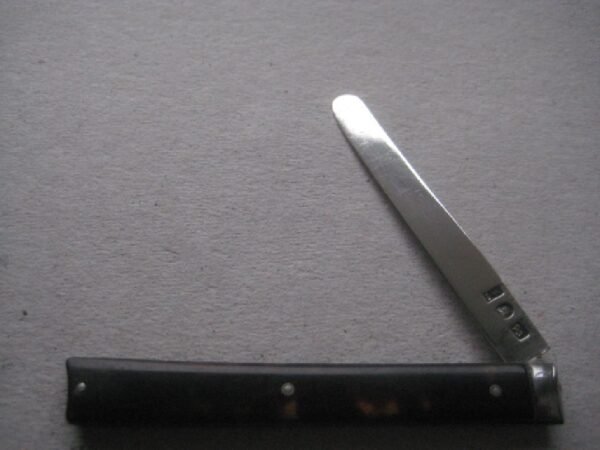 Rare George III Tortoiseshell Hafted Scimitar Silver Bladed Folding Fruit Knife SK8