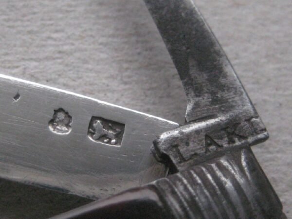Rare George III Tortoiseshell Hafted Twin Bladed Silver Bladed Folding Fruit Knife SK85 - Image 4