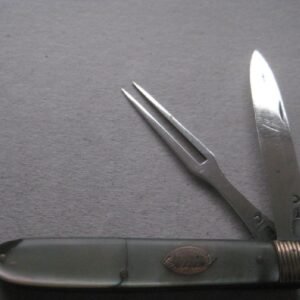 Rare George III Gold Mounted Mother of Pearl Hafted Slotting Silver Bladed Folding Fruit Knife & Fork SK22