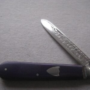 Rare George V Purple Bakerlite Plastic Hafted Silver Bladed Folding Fruit Knife SK150