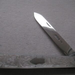 Rare George V Mother of Pearl Hafted Silver Bladed Folding Fruit Knife SK124