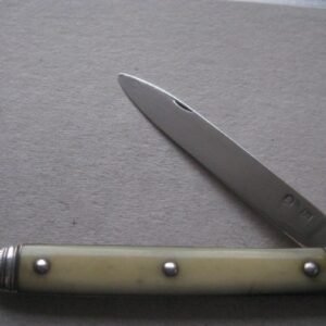 Rare George III Yellow Hafted Silver Bladed Folding Fruit Knife SK9