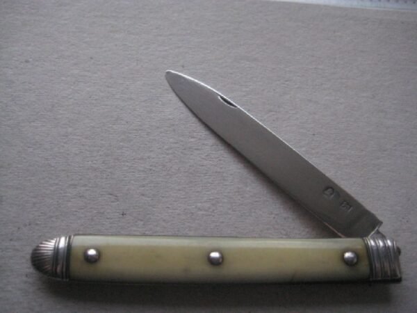 Rare George III Yellow Hafted Silver Bladed Folding Fruit Knife SK9