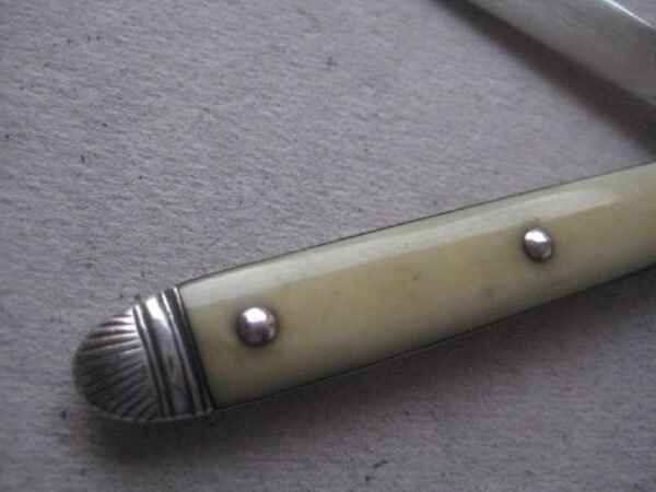 Rare George III Yellow Hafted Silver Bladed Folding Fruit Knife SK9 - Image 4