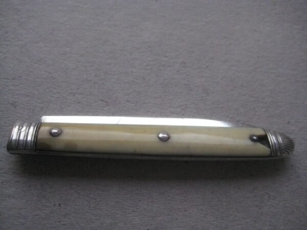 Rare George III Yellow Hafted Silver Bladed Folding Fruit Knife SK9 - Image 9