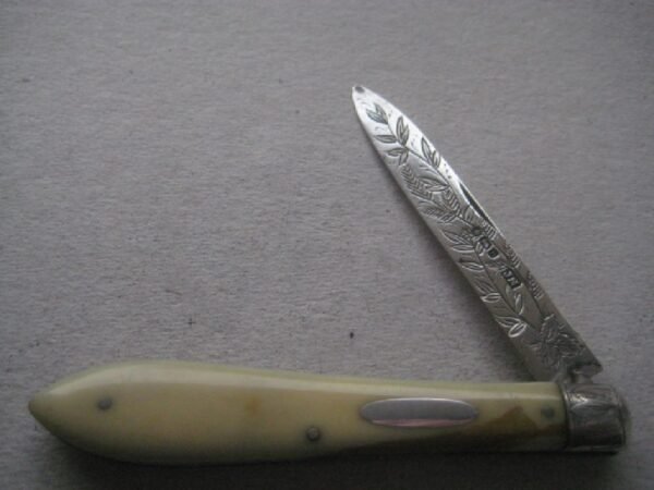 Rare Victorian Bone Hafted Silver Bladed Folding Fruit Knife SK352