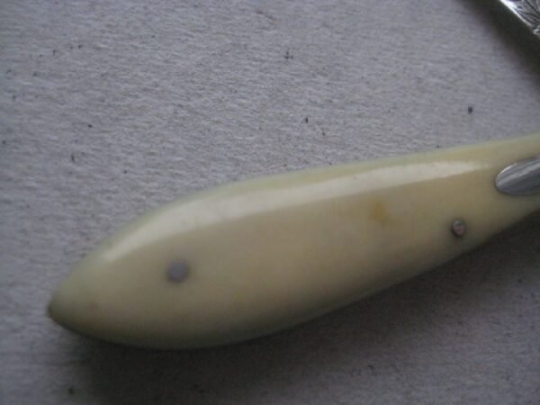 Rare Victorian Bone Hafted Silver Bladed Folding Fruit Knife SK352 - Image 3