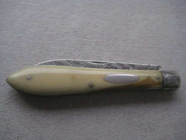 Rare Victorian Bone Hafted Silver Bladed Folding Fruit Knife SK352 - Image 8