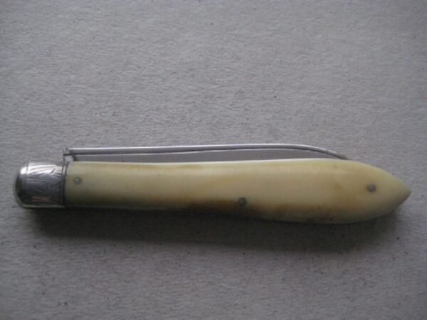 Rare Victorian Bone Hafted Silver Bladed Folding Fruit Knife SK352 - Image 9