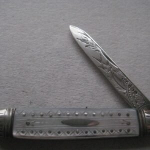 George V Mother of Pearl Hafted Silver Bladed Folding Fruit Knife SK119