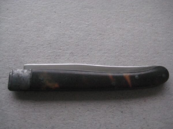 Rare George III Tortoiseshell Hafted Scimitar Silver Bladed Folding Fruit Knife SK89 - Image 8