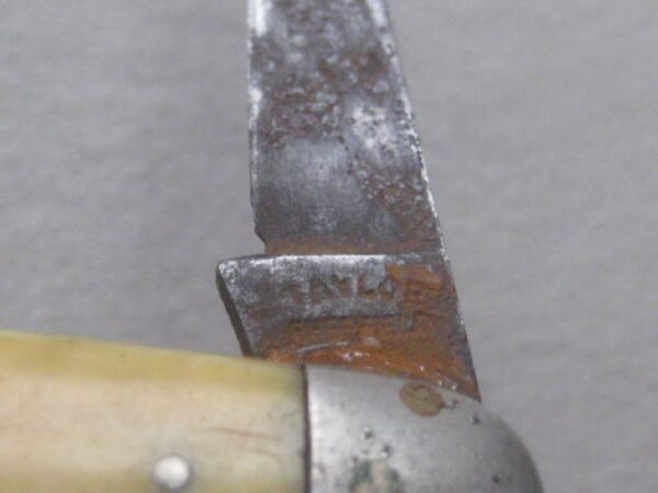 Victorian Bone Hafted Twin Steel Bladed Penknife SK114 BLETCH - Image 3