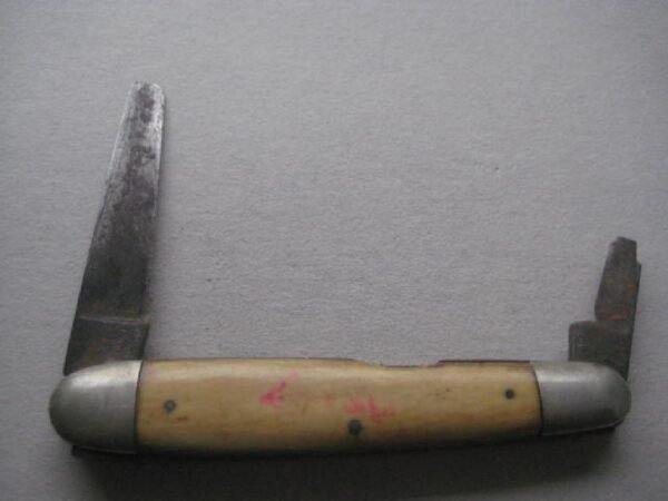 Victorian Bone Hafted Steel Bladed Penknife SK127 BLETCH - Image 2