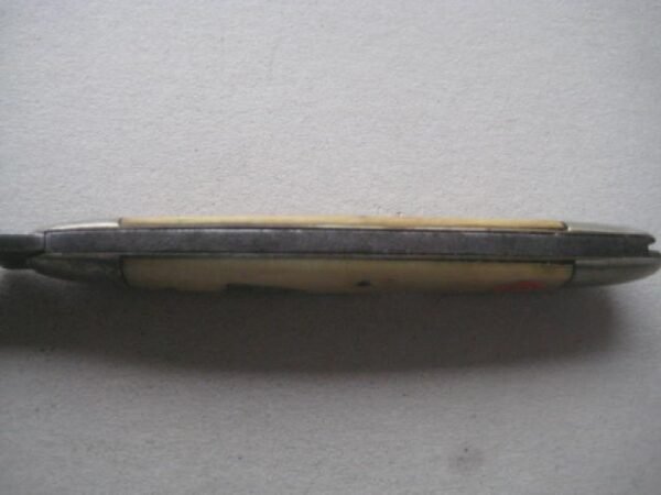 Victorian Bone Hafted Steel Bladed Penknife SK127 BLETCH - Image 4