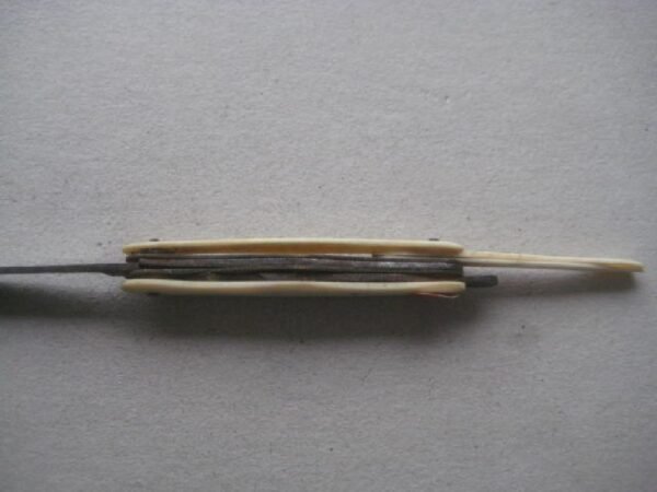 Victorian Bone Hafted Multi-Bladed Penknife SK132 BLETCH - Image 3