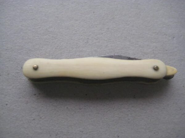 Victorian Bone Hafted Multi-Bladed Penknife SK132 BLETCH - Image 7