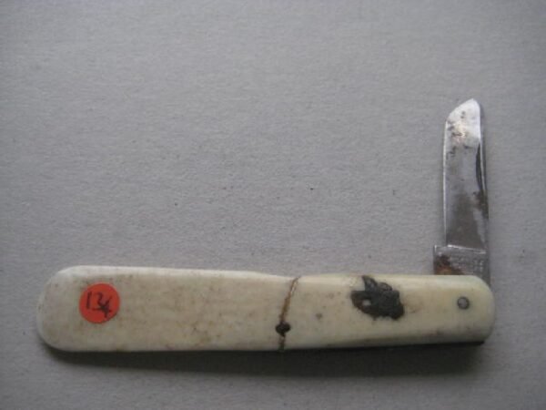 Victorian Bone Hafted Budding Penknife SK134 BLETCH - Image 2