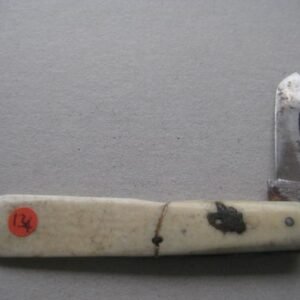 Victorian Bone Hafted Budding Penknife SK134 BLETCH