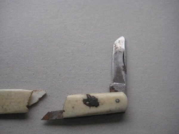 Victorian Bone Hafted Budding Penknife SK134 BLETCH - Image 5