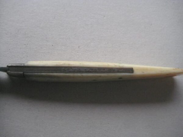 Victorian Bone Hafted Budding Penknife SK135 BLETCH - Image 6