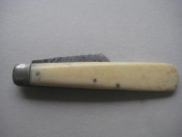 Victorian Bone Hafted Budding Penknife SK135 BLETCH - Image 9