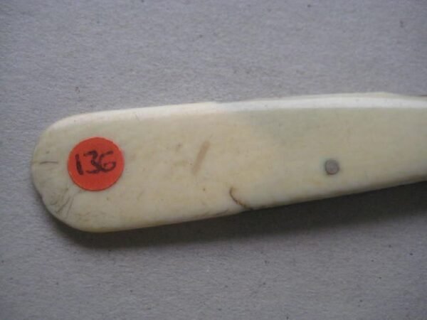 Victorian Bone Hafted Budding Penknife SK136 BLETCH - Image 3