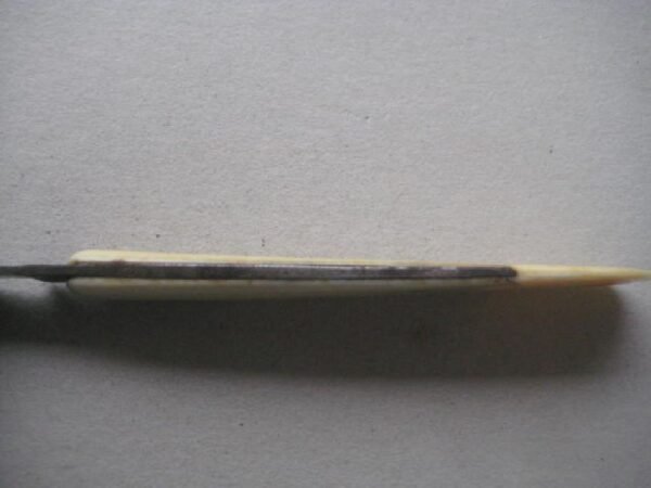 Victorian Bone Hafted Budding Penknife SK136 BLETCH - Image 5